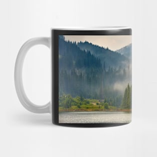 Lake Vidra in Romania Mug